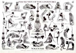 Chart Perfection of Yoga Postures