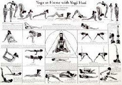 Chart Yoga at home with Yogi Hari